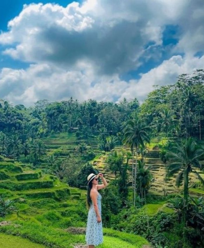 Ubud Tour